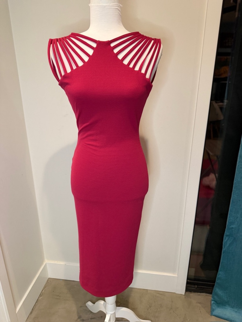 Dark Pink Dress by Dress The Population